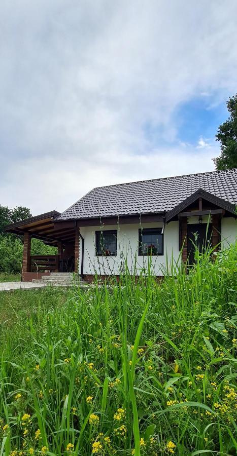 Casuta Cu Bine Villa Valea Lunga-Ogrea Exterior photo
